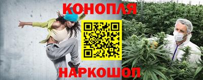 дживик Будённовск