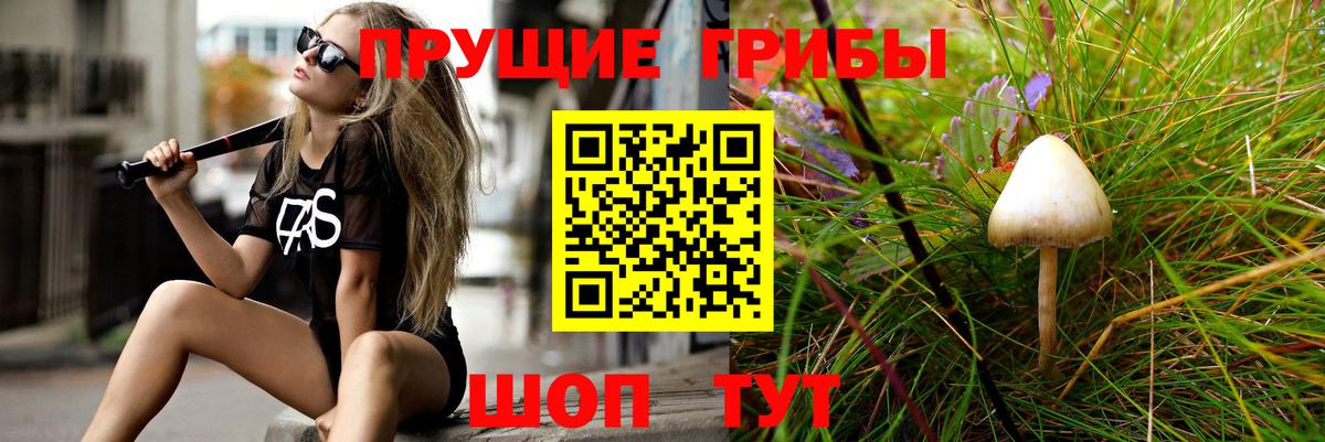 продажа наркотиков  Галлюциногенные грибы ЛСД  Вход с VPN  Тихвин 
